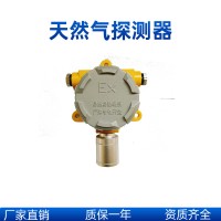 燃氣公司用天然氣氣體濃度檢測儀
